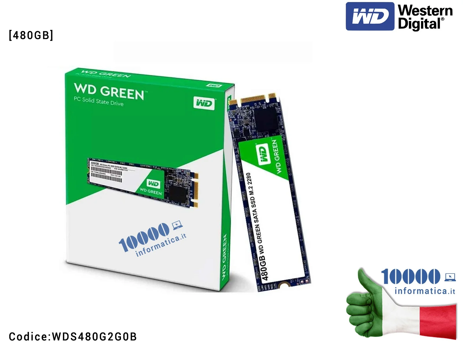 WDS480G2G0B HARD DISK SSD M.2 2280 SATA3 INTERNO 480 GB WD GREEN 3D WDS480G2G0B HDD M2 PCI A STATO SOLIDO