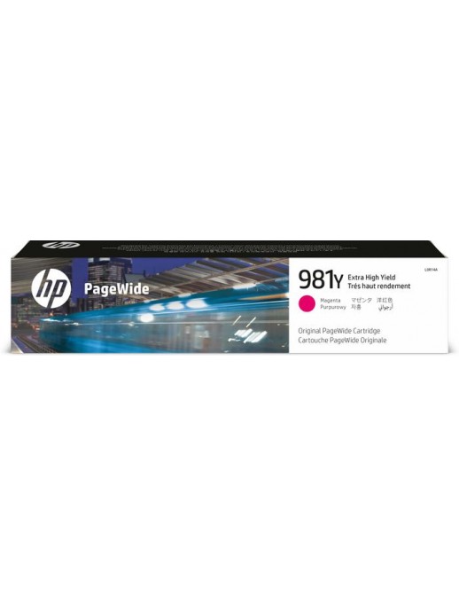 HP | 10000informatica