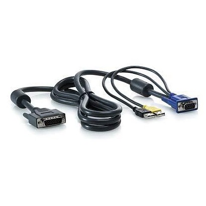 AF613A AF613A Hewlett Packard Enterprise 1x4 KVM Console 6ft USB Cable NONE - Only use for non-battery items Features DSE