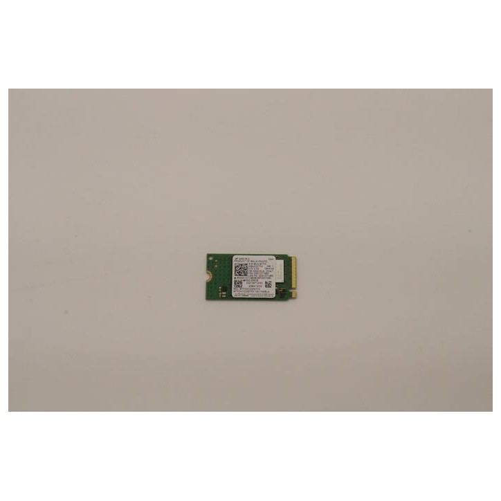 5SS1D71680 256GB M.2 2242 PCIe 4.0 NVMe FRU5SS1D71680 SSD