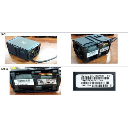 DSE | 10000informatica