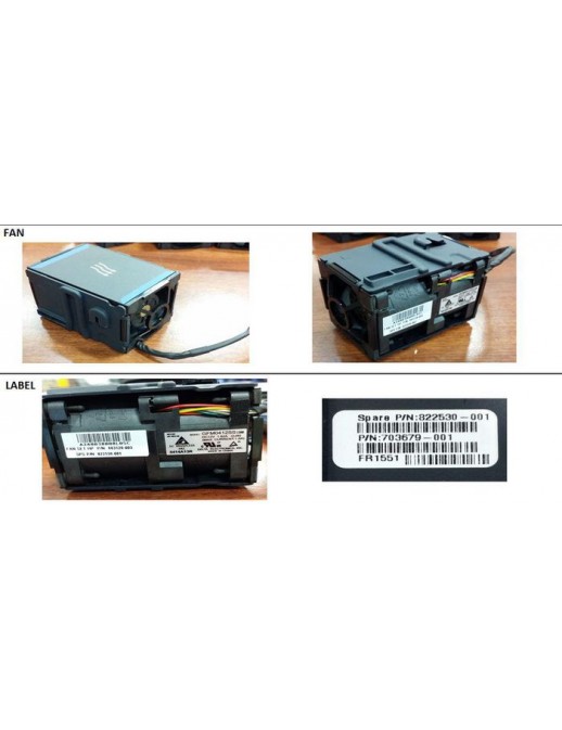 DSE | 10000informatica