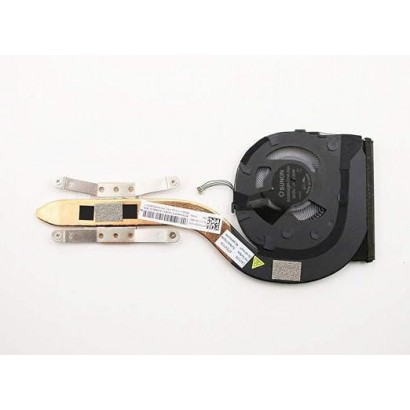 DSE | 10000informatica