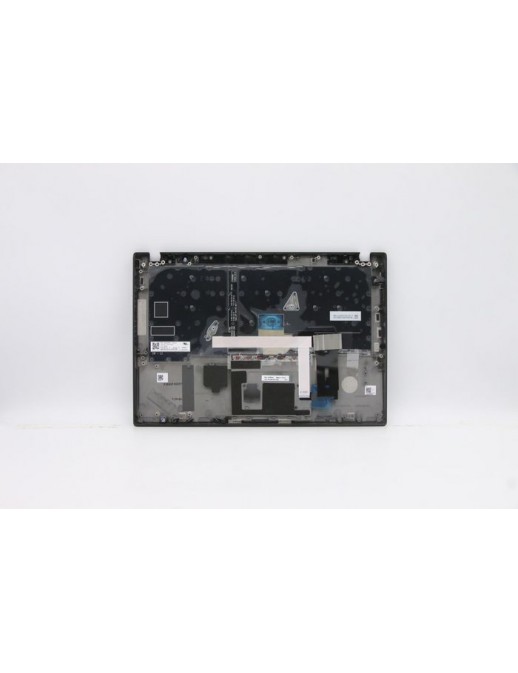 DSE | 10000informatica