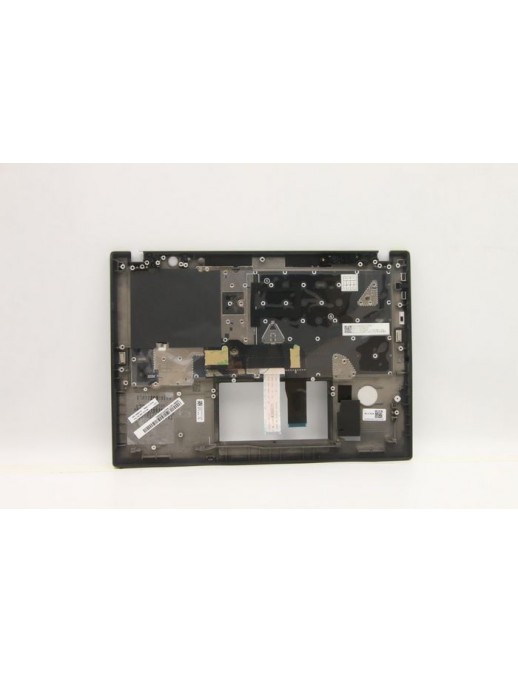 DSE | 10000informatica