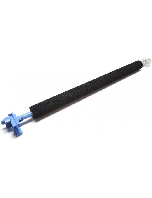 DSE | 10000informatica