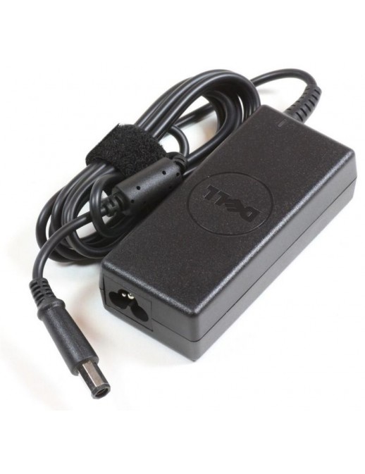 DSE | 10000informatica