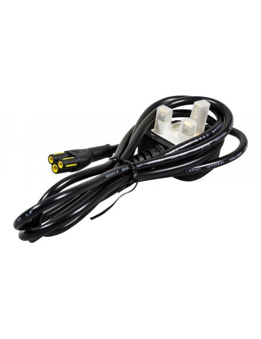 DSE | 10000informatica