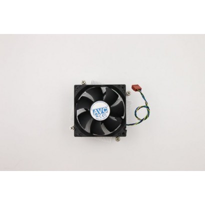 DSE | 10000informatica