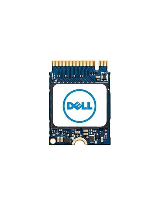 DELL | 10000informatica