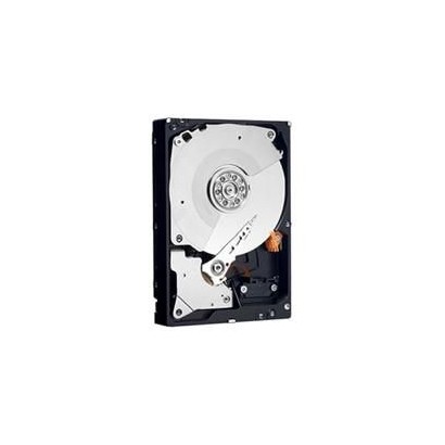 DELL | 10000informatica