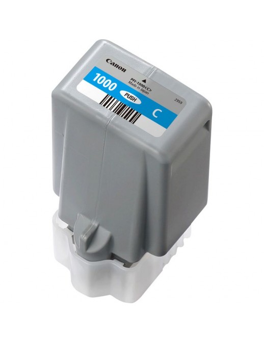 DSE | 10000informatica