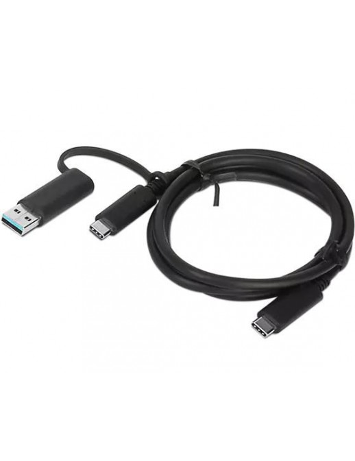 4X90U90618 4X90U90618 Lenovo Hybrid USB-C with USB-A Cable NONE - Only use for non-battery items