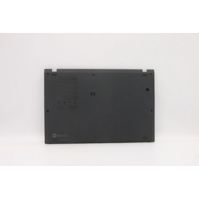 DSE | 10000informatica