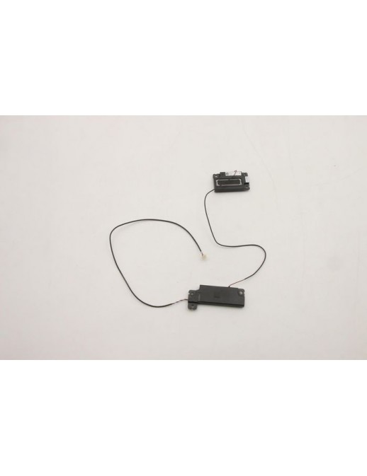 DSE | 10000informatica