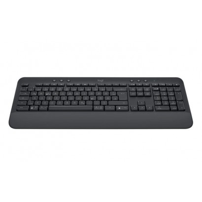 920-010913 920-010913 Logitech SIGNATURE K650 ALKALINE - Alkaline Batteries - No restictions Features DSE