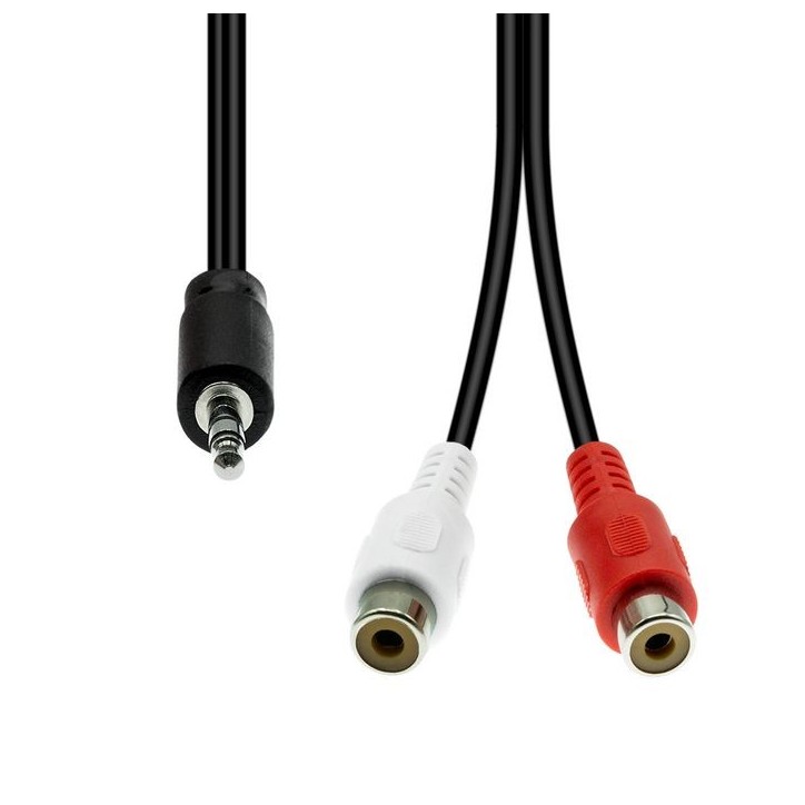 M32XRCAF-002 ProXtend Mini-Jack 3-Pin to 2 x RCA Cable M-F Black 20cm 832311 NONE - Only use for non-battery items