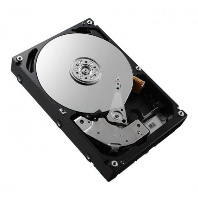 ST600MM0006-DELL-RFB Dell 600GB, 10000 rpm, SAS 600 GB