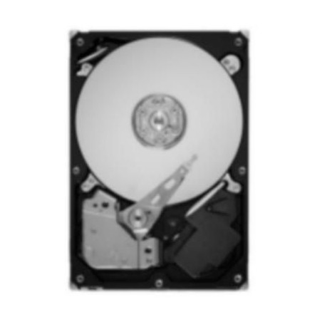 DSE | 10000informatica