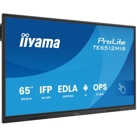 IIYAMA | 10000informatica