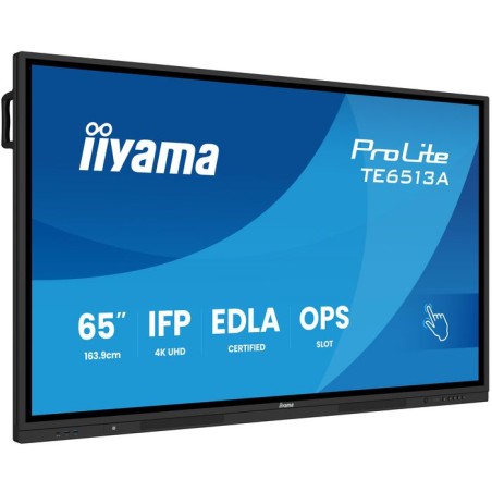 IIYAMA | 10000informatica