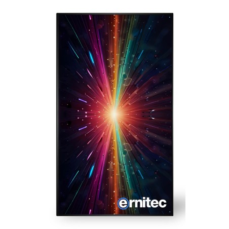 ERNITEC | 10000informatica