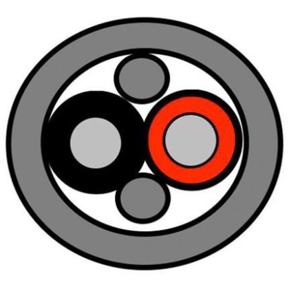 DSE | 10000informatica