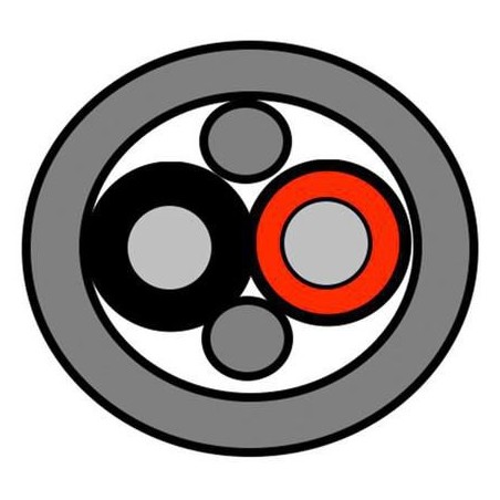 DSE | 10000informatica