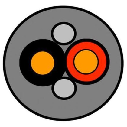 DSE | 10000informatica