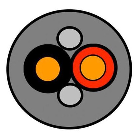 DSE | 10000informatica