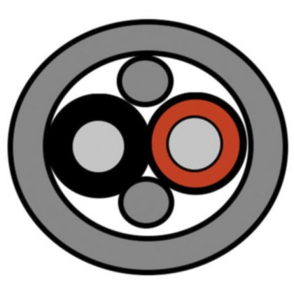 DSE | 10000informatica