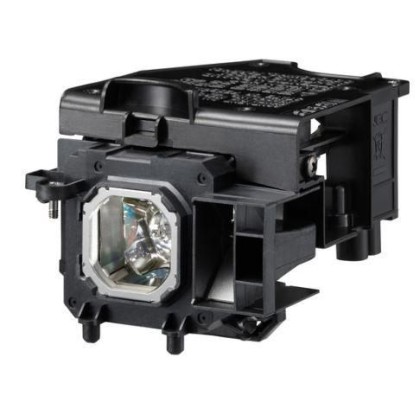 DSE | 10000informatica