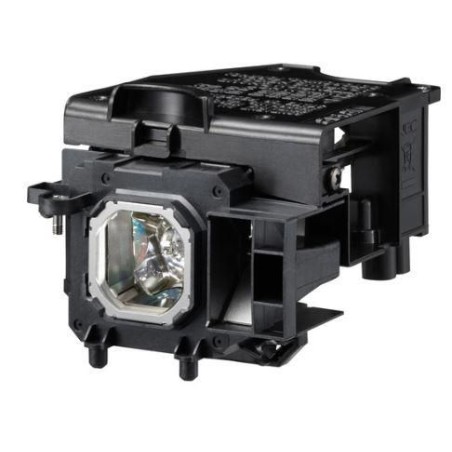 DSE | 10000informatica