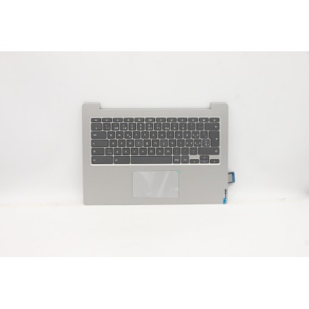 Lenovo 5CB0Z27815 Palmrest Top Case con tastiera, Svizzera, Grigio platino