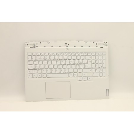 Lenovo 5CB1D05112 Palmrest Top Case con tastiera, Svizzera, grigio tempesta, Retroilluminazione blu