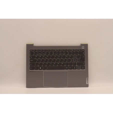 Lenovo 5CB1H68344 Palmrest Top Case con tastiera, Svizzera, grigio artico, Lettore di impronte digitali