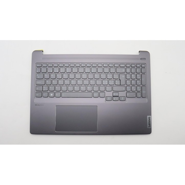Lenovo 5CB1H95490 Palmrest Top Case con tastiera, Svizzera, grigio tempesta