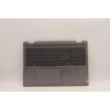 Lenovo 5CB1J01812 Palmrest Top Case con tastiera, Svizzera, grigio artico, Lettore di impronte digitali