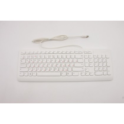 Lenovo 5D50U84490 Tastiera esterna, USB, Russo/Cirillico, Bianco, Senza retroilluminazione