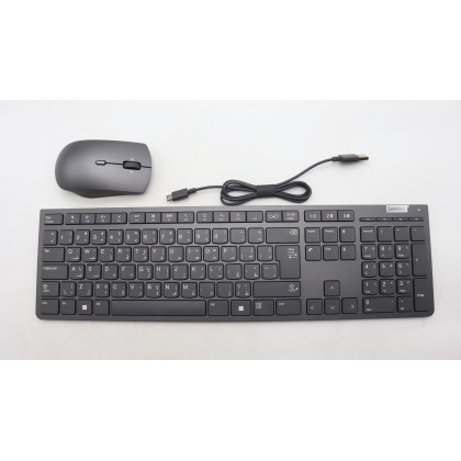 Lenovo 5KM1K37617 Tastiera_mouse, 2,4 G, Arabo, grigio tempesta
