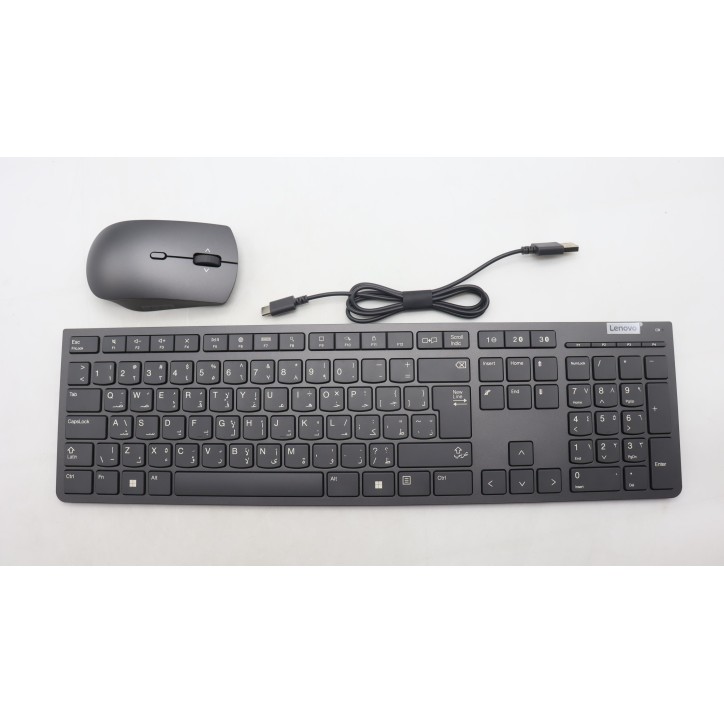 Lenovo 5KM1K37617 Tastiera_mouse, 2,4 G, Arabo, grigio tempesta