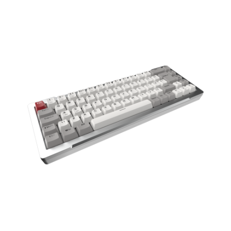 RAIJINTEK TASTIERA GAMING MGA-68 SILVER ALLUMINIO ARGB MAGNETIC SWITCH