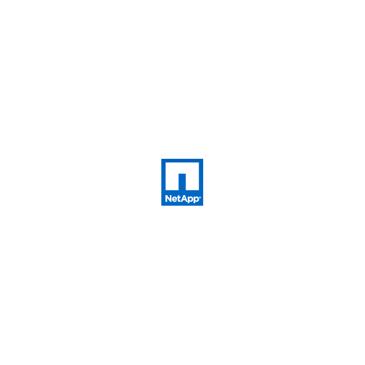 107-00034-RFB NetApp 512mb Memory DIMM for FAS2020