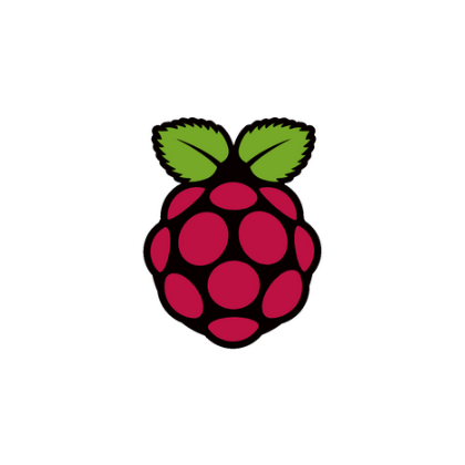 SC1157 Raspberry Pi 27W USB-C Power Supply Black EU