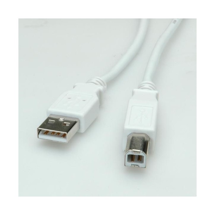 11.99.8819 Value Usb 2.0 Cable, A - B, M/M 1.8 783753 M