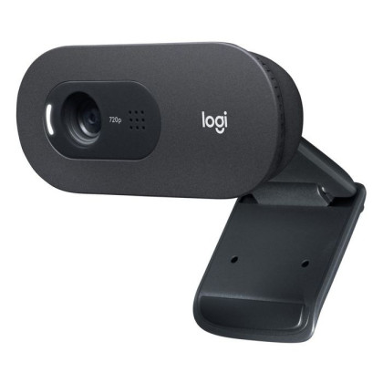 960001372 Logitech C505E Webcam
