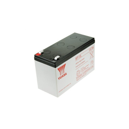 NP7-12L VRLA Lead Acid Battery Lead Acid Battery