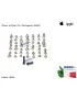 10020 Kit 53 Viti [Pentagonali NERE] APPLE iPhone 6 6G (A1549) (A1586) (A1589) Set Screw Pentalobe Black