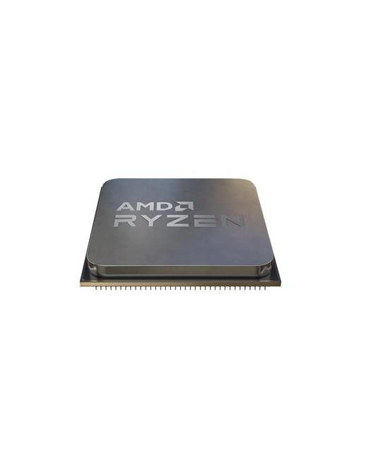 AMD RYZEN 3 4300G + cooler