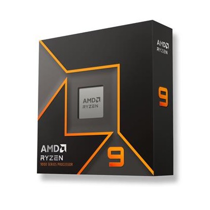 AMD Ryzen 9 9900X, box